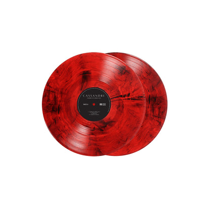 Double Vinyle "Tombés du même ciel" (Edition Diable au corps)